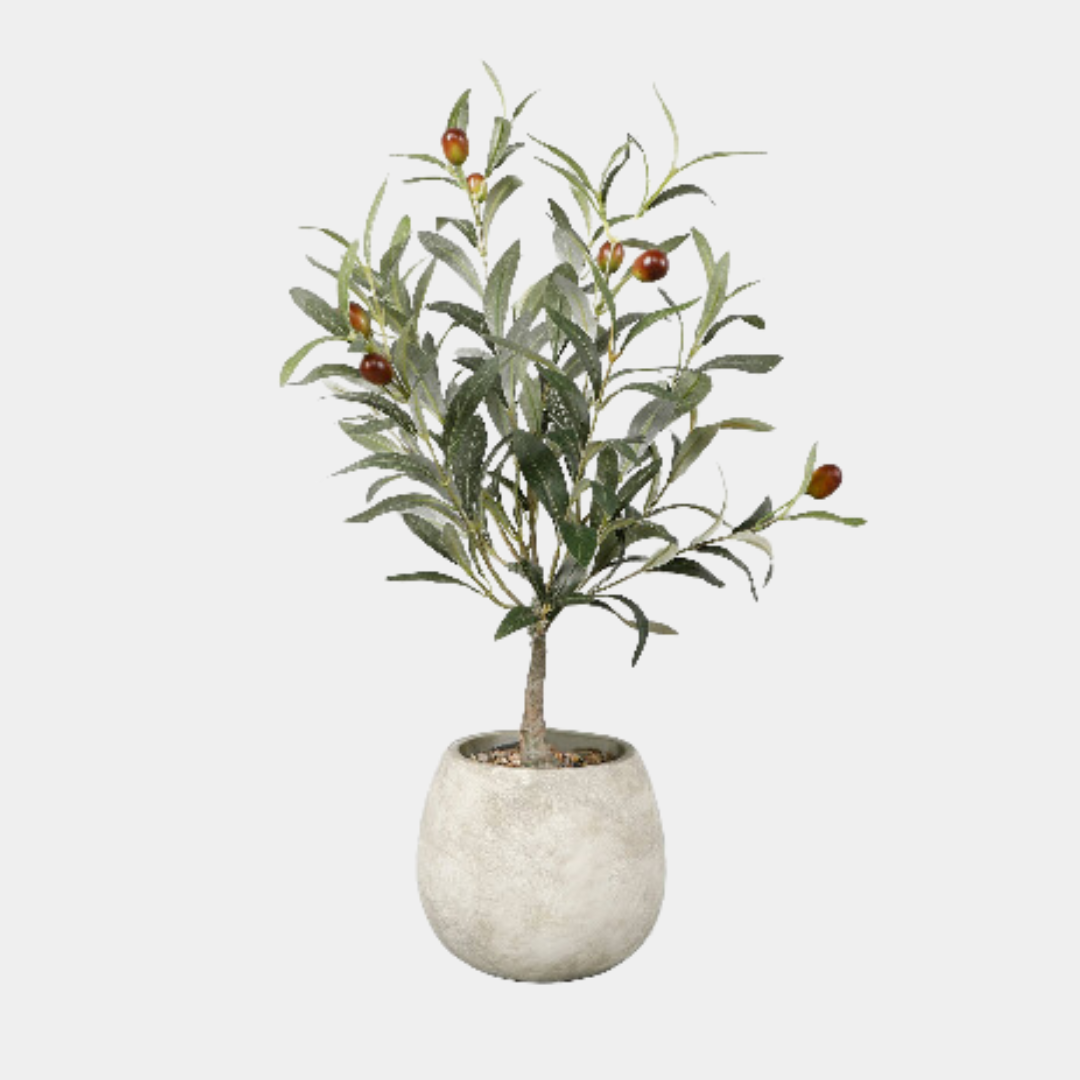 Balsa Olive Tree in Cement Pot